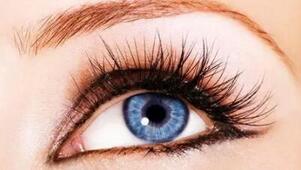 磁鐵假睫毛 磁鐵假睫毛