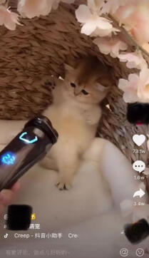 再來一份抖音冷啟動做號養(yǎng)號經(jīng)驗！ 微商引流 小視頻 抖音 經(jīng)驗心得 第9張