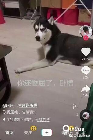 怎么做抖音？抖音6種運營推廣技巧！