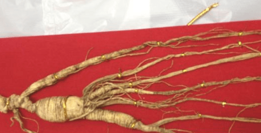 QQ截圖20221222102556.png QQ截圖20221222102556.png