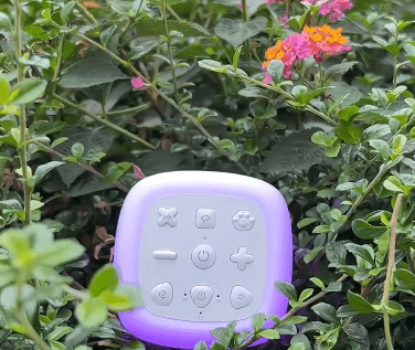 QQ截圖20230423170739.png QQ截圖20230423170739.png